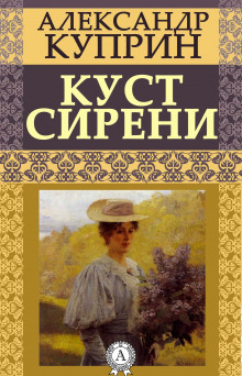 Куст сирени